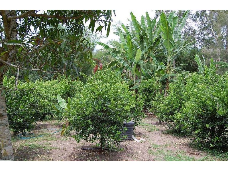 735 Warrell Creek Road, Warrell Creek NSW 2447