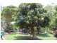 735 Warrell Creek Road, Warrell Creek NSW 2447