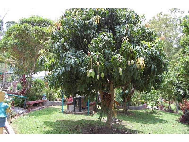735 Warrell Creek Road, Warrell Creek NSW 2447