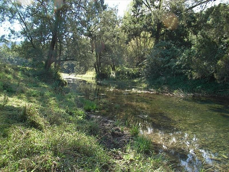 1251 South Arm Road, Bowraville NSW 2449