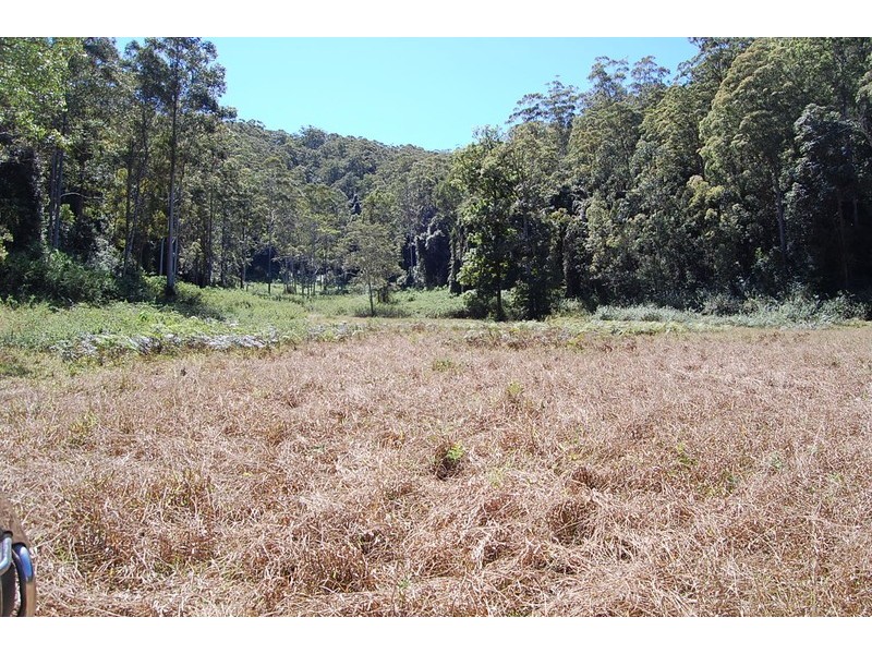 534 Missabotti Road, Missabotti NSW 2449