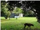 Lot 1 Nelson Street, Nana Glen NSW 2450