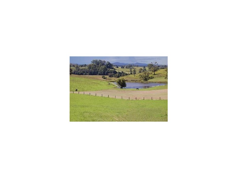 Lot 4 Strawberry Road, Warrell Creek NSW 2447