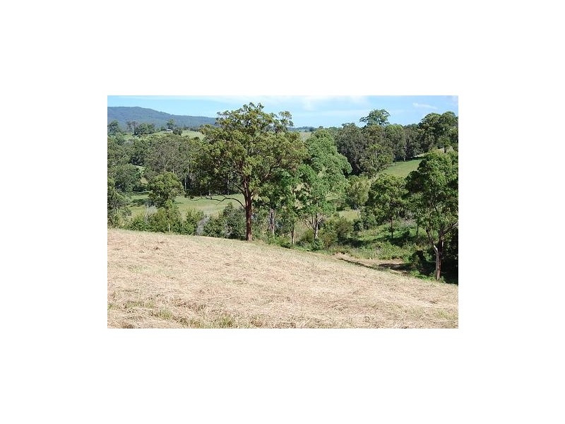 Lot 4 Strawberry Road, Warrell Creek NSW 2447
