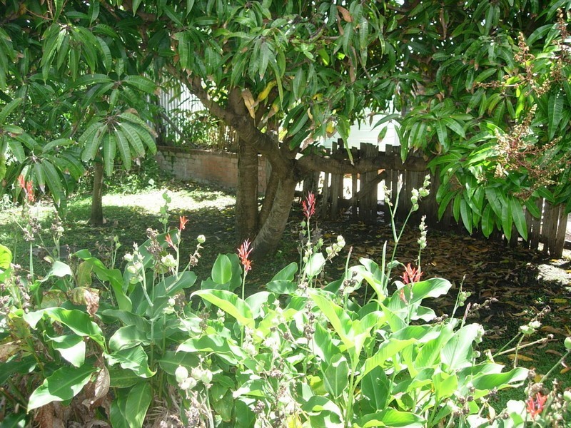 26 Ford Street, Red Rock NSW 2456