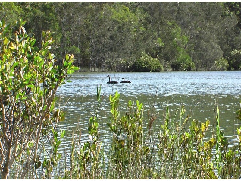 15 Melaleuca Ave, Woolgoolga NSW 2456