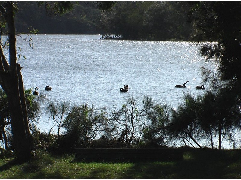 15 Melaleuca Ave, Woolgoolga NSW 2456