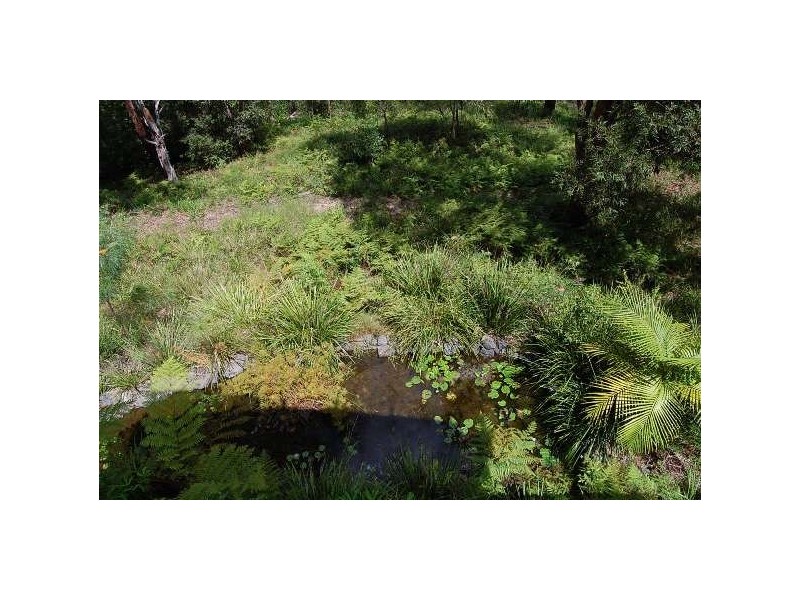 557 Sullivans Road, Valla NSW 2448