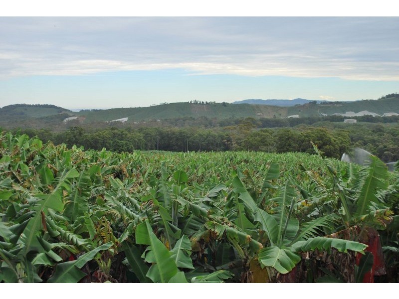 Lot 1 Greys Road, Woolgoolga NSW 2456