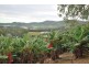 Lot 1 Greys Road, Woolgoolga NSW 2456