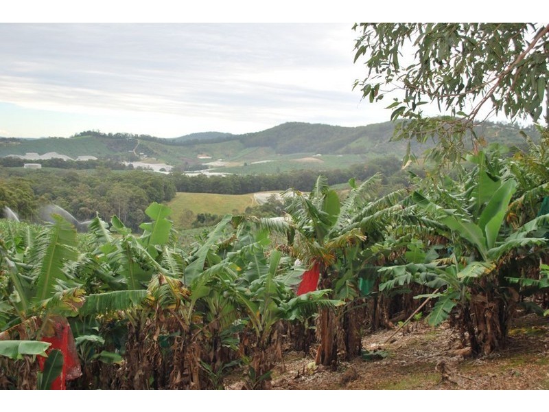 Lot 1 Greys Road, Woolgoolga NSW 2456