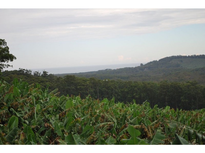 Lot 1 Greys Road, Woolgoolga NSW 2456