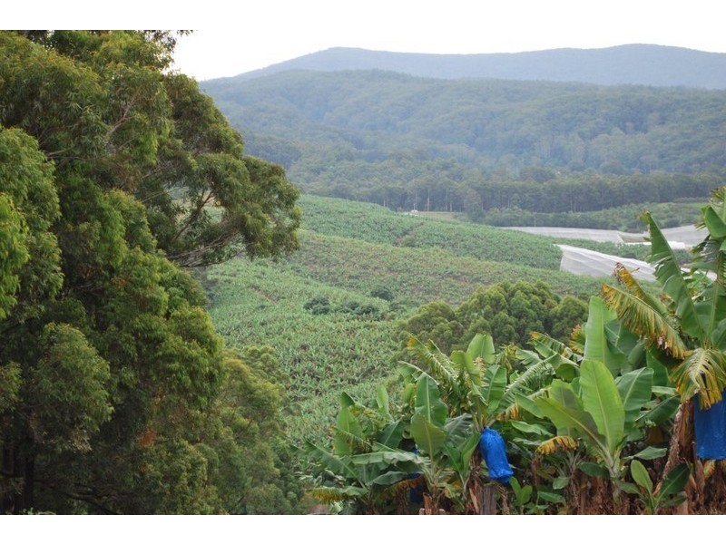 Lot 1 Greys Road, Woolgoolga NSW 2456