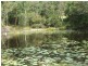 375 Valla Rd, Valla NSW 2448