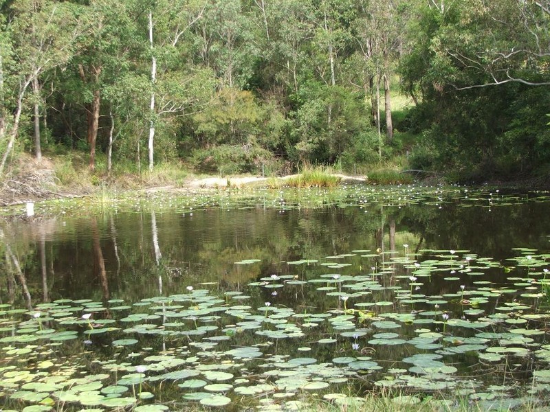 375 Valla Rd, Valla NSW 2448