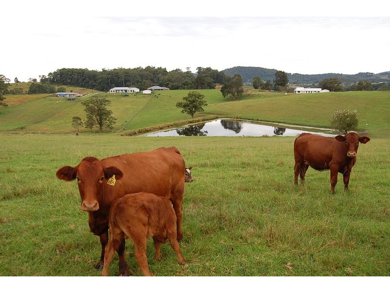 Lot 18 – 32 Strawberry Rd, Macksville NSW 2447