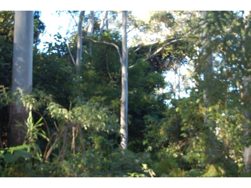 Lot 34  Upper Buckrabendinni, Bowraville NSW 2449