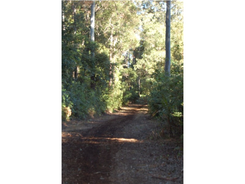 Lot 34  Upper Buckrabendinni, Bowraville NSW 2449