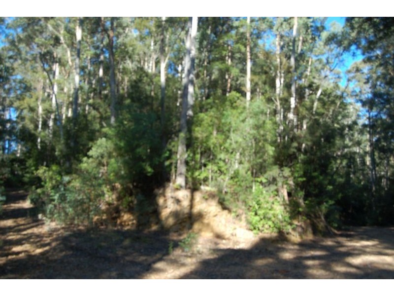 Lot 34  Upper Buckrabendinni, Bowraville NSW 2449