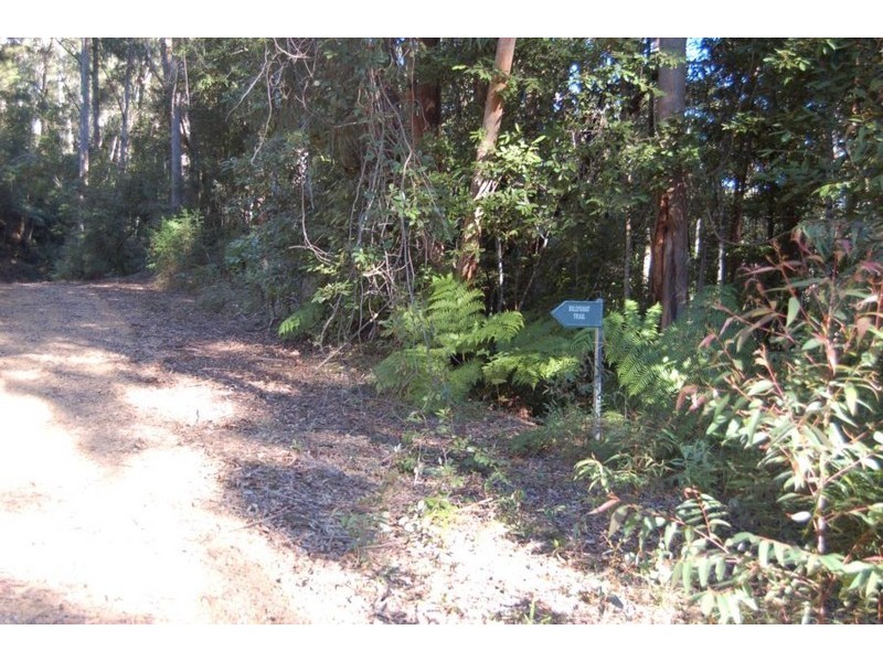 Lot 34  Upper Buckrabendinni, Bowraville NSW 2449