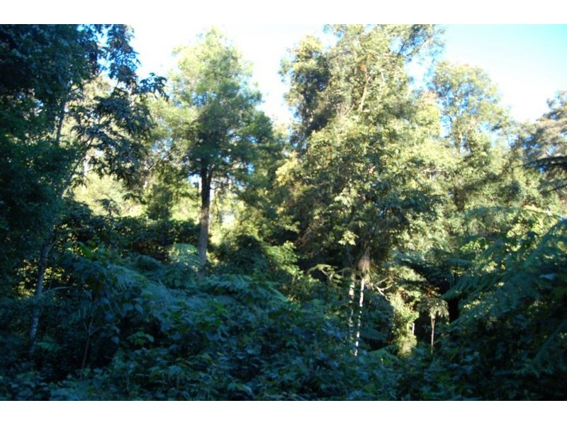 Lot 34  Upper Buckrabendinni, Bowraville NSW 2449