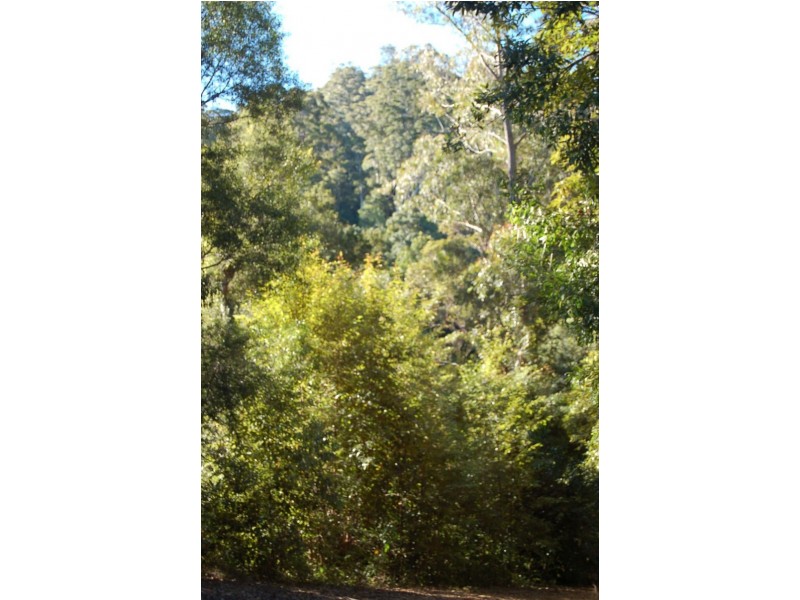 Lot 34  Upper Buckrabendinni, Bowraville NSW 2449