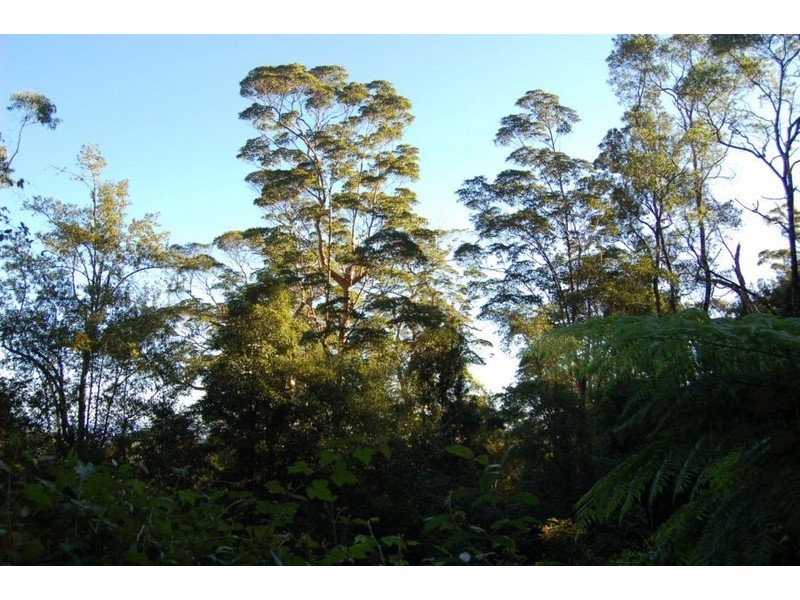 Lot 34  Upper Buckrabendinni, Bowraville NSW 2449