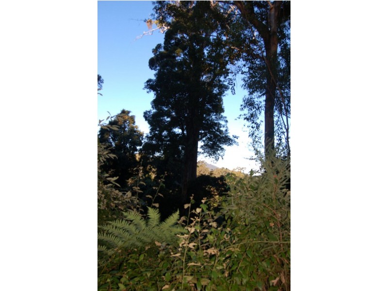 Lot 34  Upper Buckrabendinni, Bowraville NSW 2449