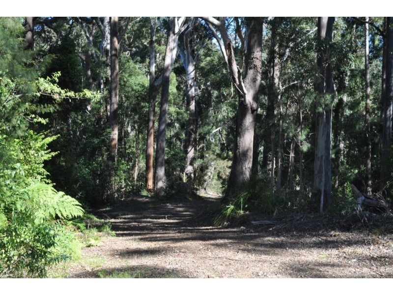 65 Island Loop Rd, Upper Orara NSW 2450