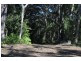 65 Island Loop Rd, Upper Orara NSW 2450