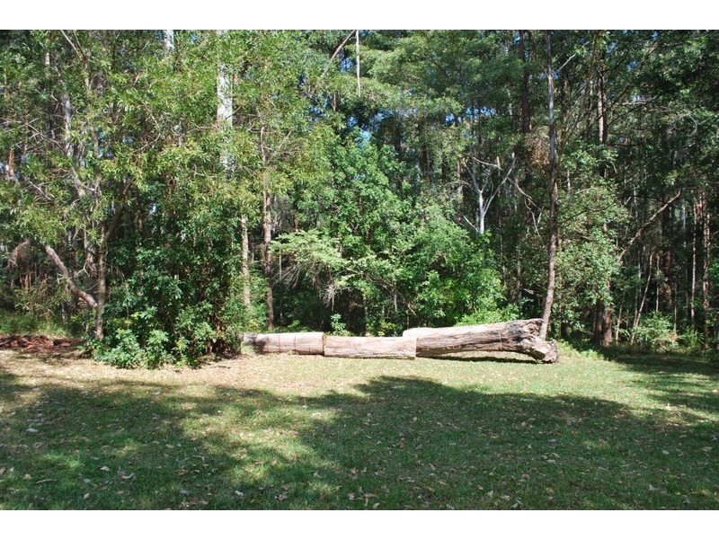 91 FOREST DRIVE, Repton NSW 2454