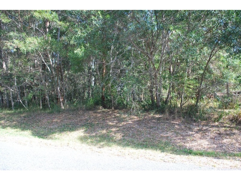 91 FOREST DRIVE, Repton NSW 2454