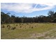 Lot 31 Kumbaingeri Close, Moonee Beach NSW 2450