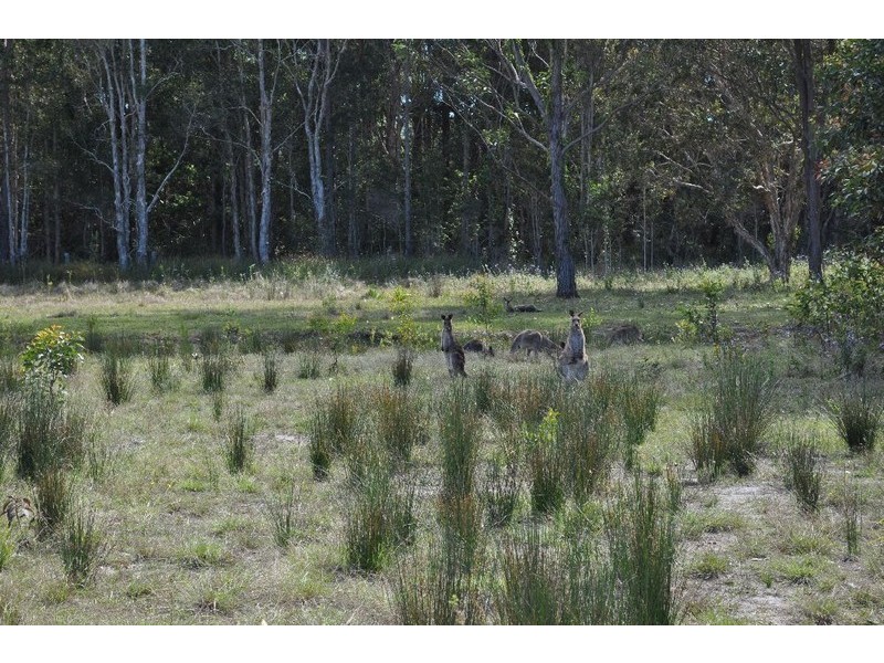 Lot 31 Kumbaingeri Close, Moonee Beach NSW 2450