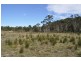 Lot 31 Kumbaingeri Close, Moonee Beach NSW 2450