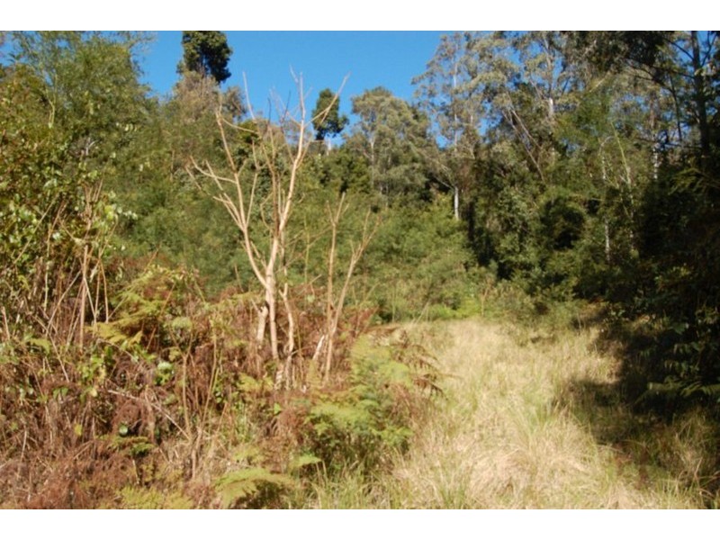 Lot 98 Barakee Trail, Cooplacurripa NSW 2424