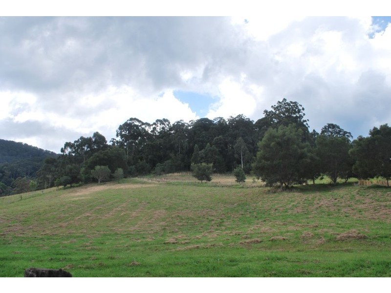 420 Crossmaglen Road, Bonville NSW 2441