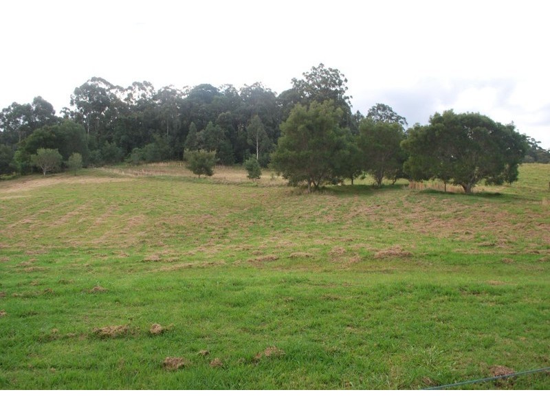 420 Crossmaglen Road, Bonville NSW 2441