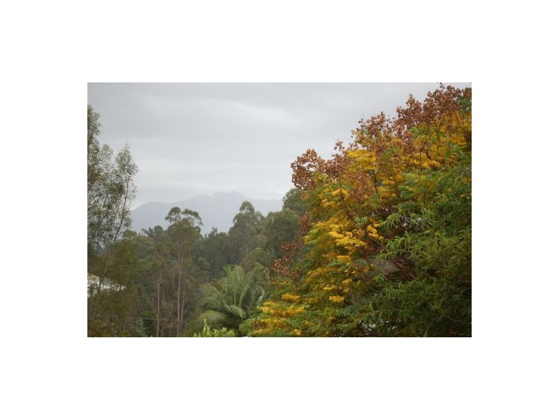 46 LYONS STREET, Bellingen NSW 2454