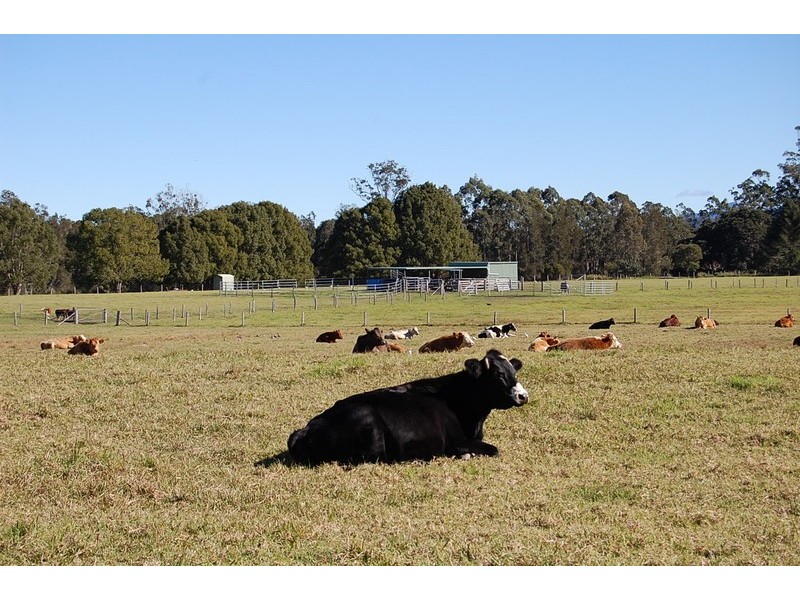 109 Talarm Road, Macksville NSW 2447