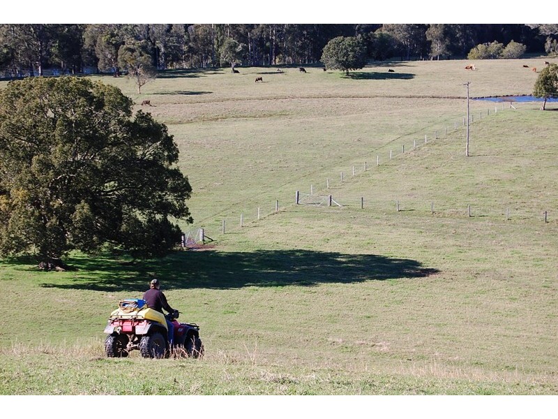 109 Talarm Road, Macksville NSW 2447