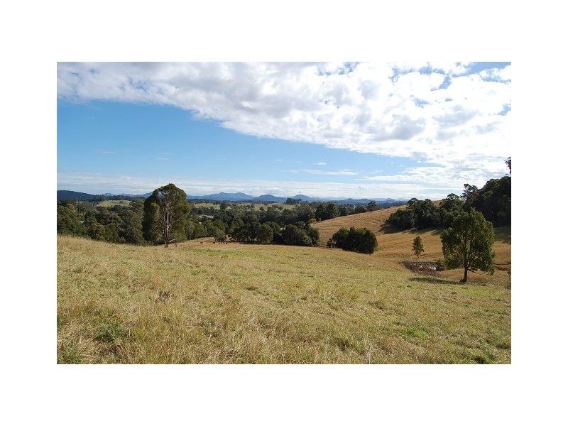 11 Albert Drive, Warrell Creek NSW 2447