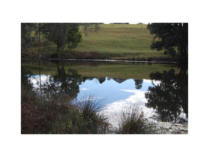11 Albert Drive, Warrell Creek NSW 2447