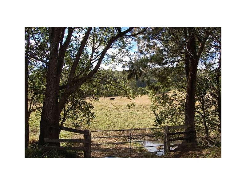 11 Albert Drive, Warrell Creek NSW 2447