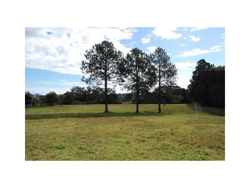 11 Albert Drive, Warrell Creek NSW 2447