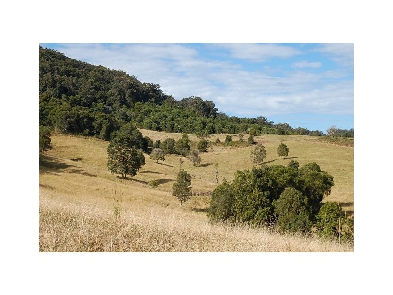 11 Albert Drive, Warrell Creek NSW 2447