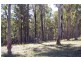 11 Albert Drive, Warrell Creek NSW 2447