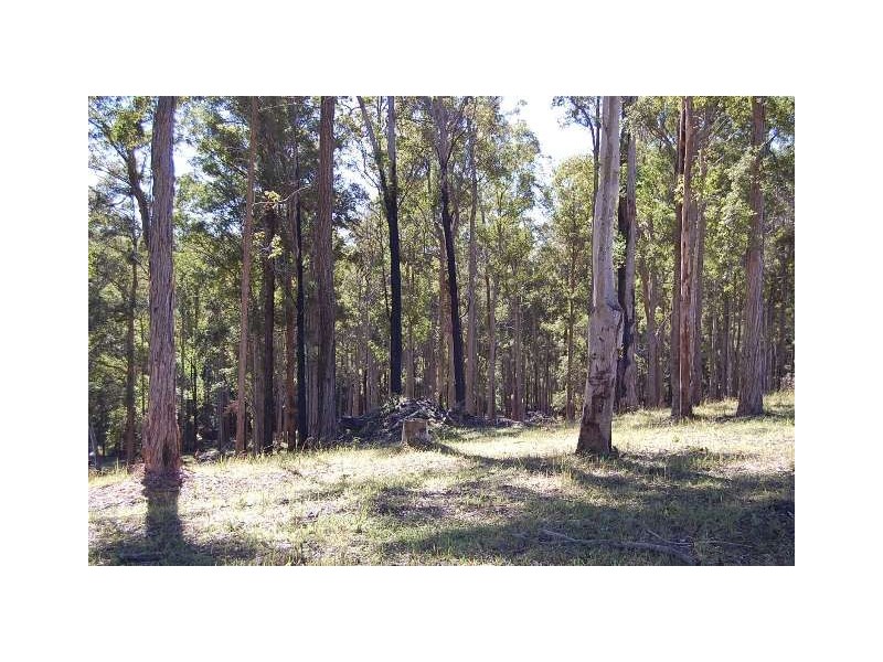 11 Albert Drive, Warrell Creek NSW 2447