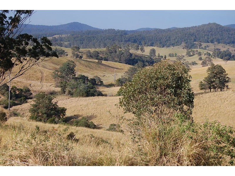 802 Bakers Creek Road, Bakers Creek NSW 2422