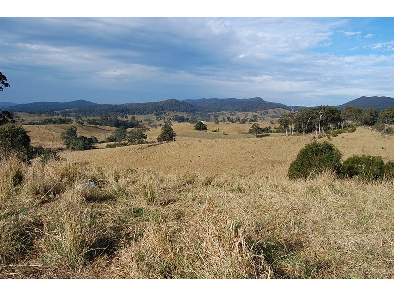 802 Bakers Creek Road, Bakers Creek NSW 2422